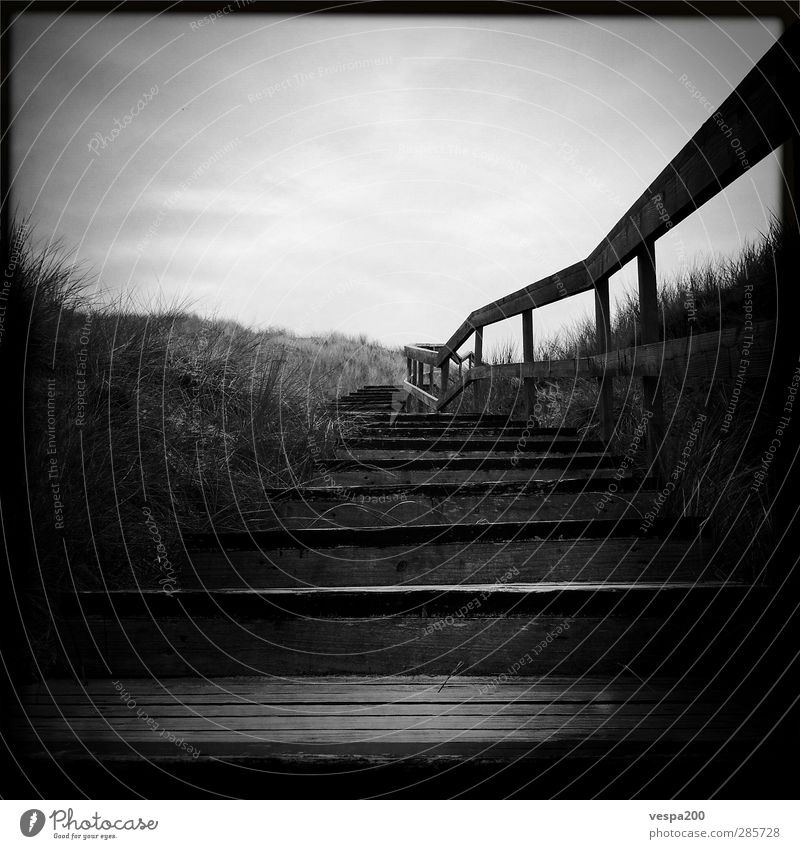 stairway to beach II Nature Landscape Wind Coast Beach North Sea Island Hiking Old Threat Dark Black & white photo Exterior shot Deserted Shadow Worm's-eye view