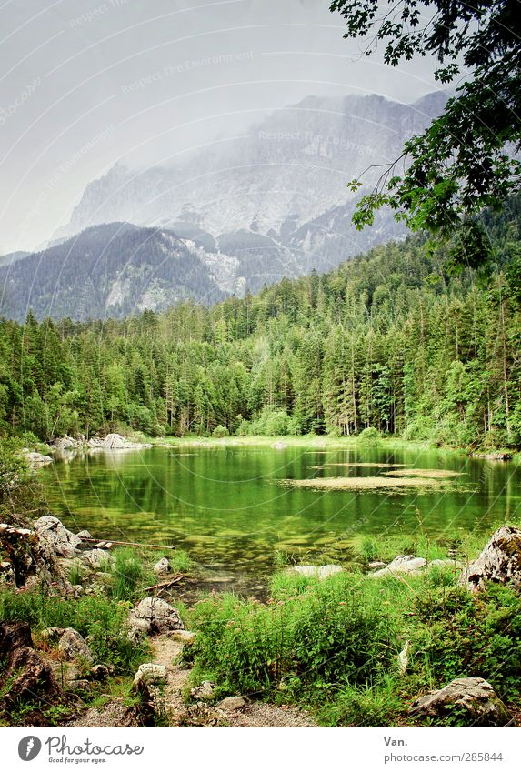 alpine green Nature Landscape Plant Water Sky Clouds Summer Tree Bushes Forest Rock Pond Gray Green Calm Colour photo Multicoloured Exterior shot Deserted