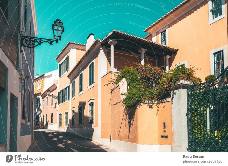 Colorful Buildings On Narrow Street In Cascais City Of Portugal Exotic Beautiful Vacation & Travel Tourism Summer House (Residential Structure) Landscape Plant