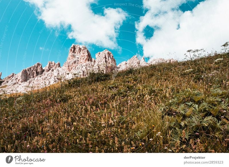 Clouds and shadows in the Dolomites with meadow II Central perspective Deep depth of field Sunbeam Sunlight Light (Natural Phenomenon) Silhouette Contrast