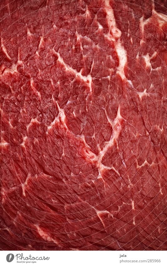 steak Food Meat Steak Beef Joint of beef Roastbeef Nutrition Delicious Red Blood Mediocre Raw Fresh English marbled Intensive stock rearing Murder horse meat