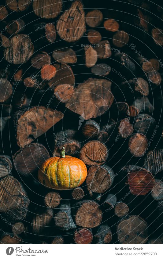 Pumpking in a pile of trunks Autumn Feasts & Celebrations Copy Space Decoration firewwod Food Fruit Hallowe'en Harvest October Orange Accumulation Rustic Fear