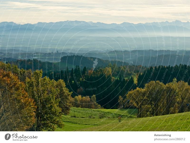 up to the Alps Environment Nature Landscape Plant Air Sky Clouds Horizon Autumn Weather Beautiful weather Tree Grass Bushes Foliage plant Meadow Field Forest