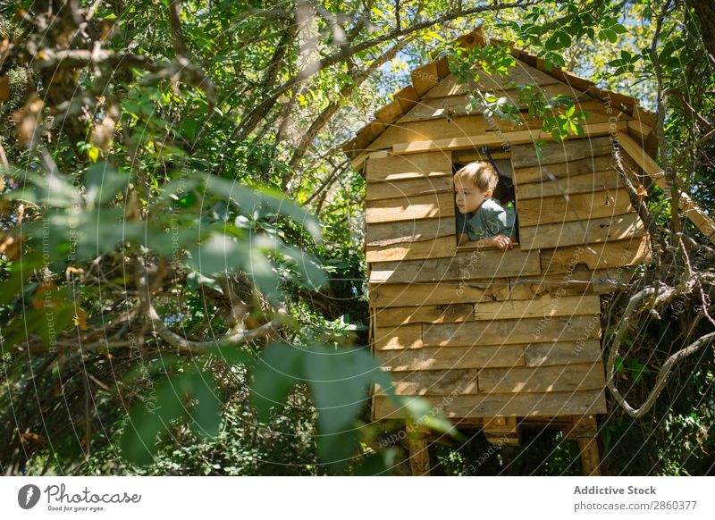 Blonde boy playing at a wooden treehouse Adventure Architecture Boy (child) bulding Infancy Child Climbing Construction Landscape Forest Green Home-made