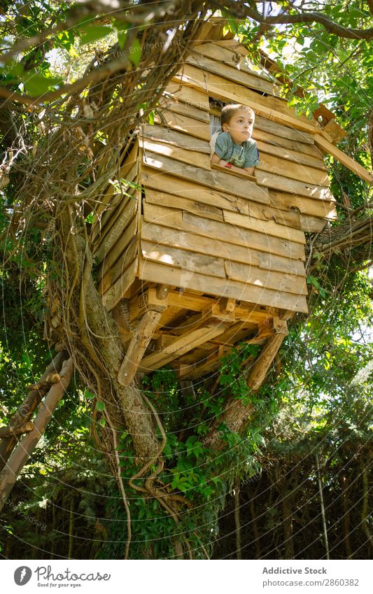 Blonde boy playing at a wooden treehouse Adventure Architecture Boy (child) bulding Infancy Child Climbing Construction Landscape Forest Green Home-made