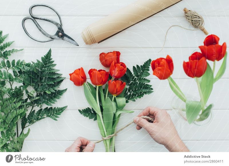 Hands preparing a Red tulips arrangement Arrangement Flower Bouquet bunch Floral Florist Love Natural Blossom leave Gift Romance romantic Scissors