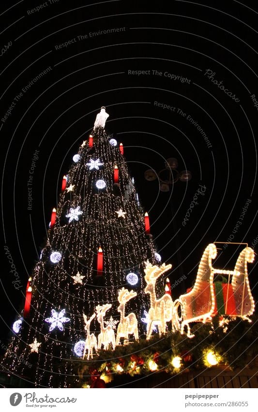 ^--P Tourism Winter Feasts & Celebrations Christmas & Advent Sky Stars Tree Town Outskirts Old town Tourist Attraction Aviation Farm animal 4 Animal Pack Candle