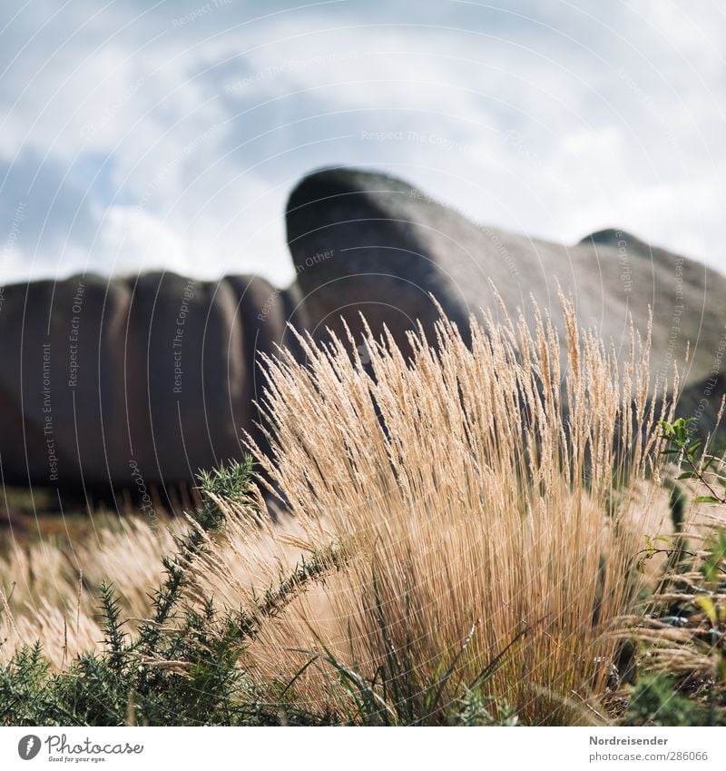 brittany Senses Relaxation Calm Fragrance Vacation & Travel Tourism Summer Nature Landscape Plant Elements Clouds Beautiful weather Grass Hill Rock To dry up