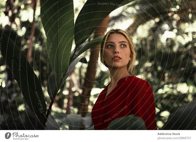 Beautiful blond woman in lush forest Woman Model Dress Green Lush Leaf Exotic magical human face Blonde Virgin forest Natural Hair and hairstyles Red