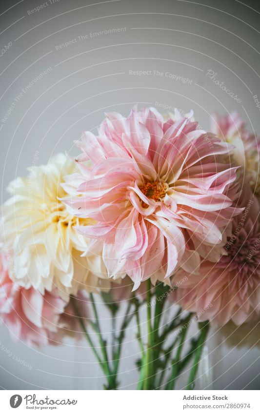 Bunches of flowers in vases on table Flower Table bunch kitchenware Bouquet Vase Water Wall (building) White Wood Grunge Glass Fresh Retro Plant Interior design