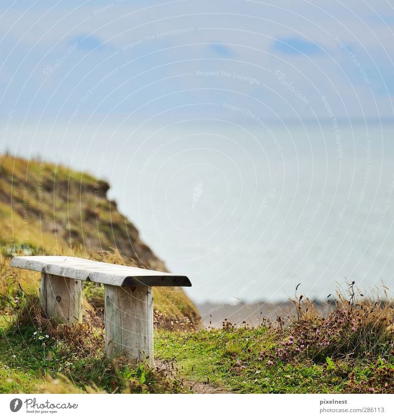 sea view Relaxation Calm Vacation & Travel Summer Beach Ocean Landscape Water Beautiful weather Grass Canyon Coast North Sea Observe Looking Sit Blue Green