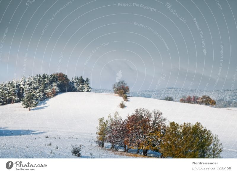 Two seasons Winter Snow Winter vacation Nature Landscape Sky Clouds Autumn Weather Ice Frost Field Forest Hill Relaxation Freeze Looking Friendliness Cold Blue