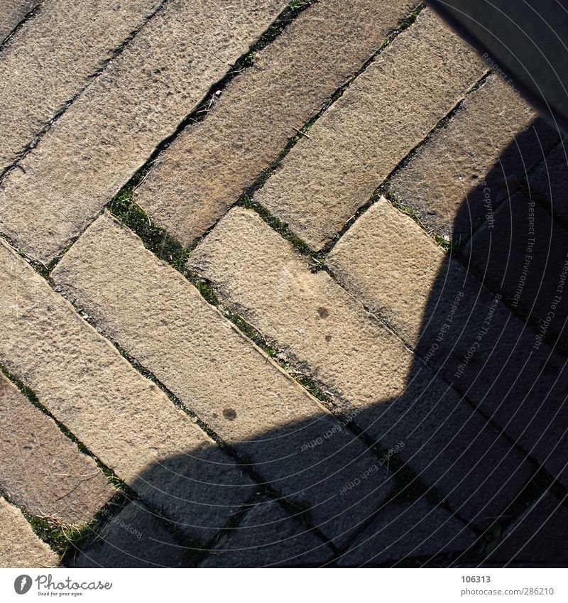 broken Human being Observe Shadow Stone Lanes & trails Herringbone Colour photo