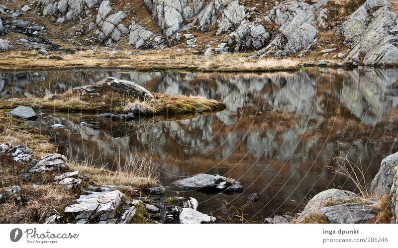 Black Lake Environment Nature Landscape Plant Elements Water Grass Moss Wild plant Rock Mountain Mountain lake Romania Carpathians Siebenbürgen Adventure Pure