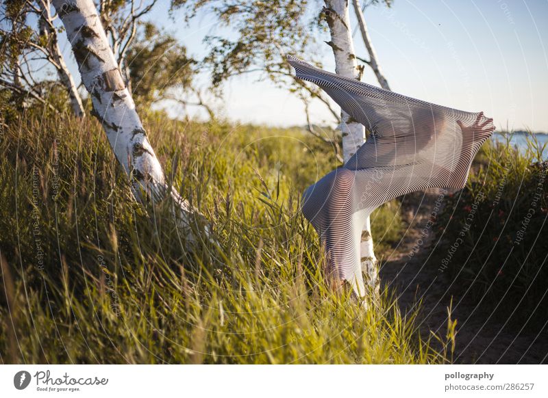 abstract bodies (18) Human being Feminine Young woman Youth (Young adults) Woman Adults Life Body 18 - 30 years Nature Landscape Plant Cloudless sky Summer