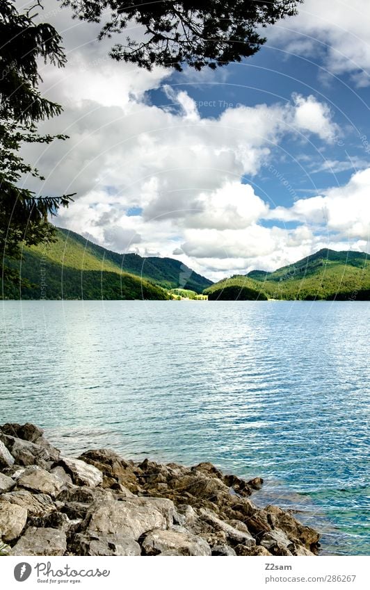 Walchensee Vacation & Travel Environment Nature Landscape Sky Clouds Summer Rock Mountain Lakeside Natural Loneliness Relaxation Idyll Sustainability Calm