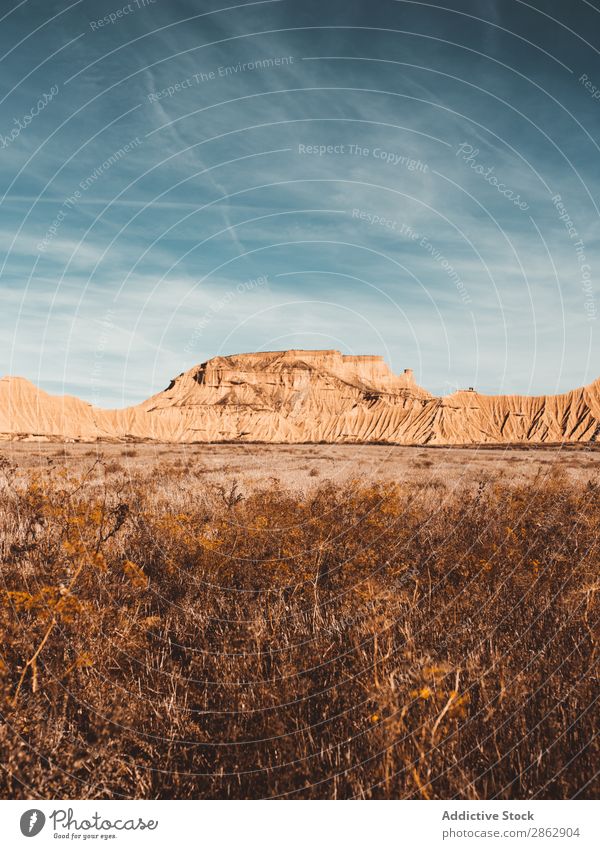 Picturesque sandy cliffs in sunlight Sandstone Cliff Landscape Dry Canyon Nature Rock Summer Blue sky scenery Adventure Panorama (Format) Peace