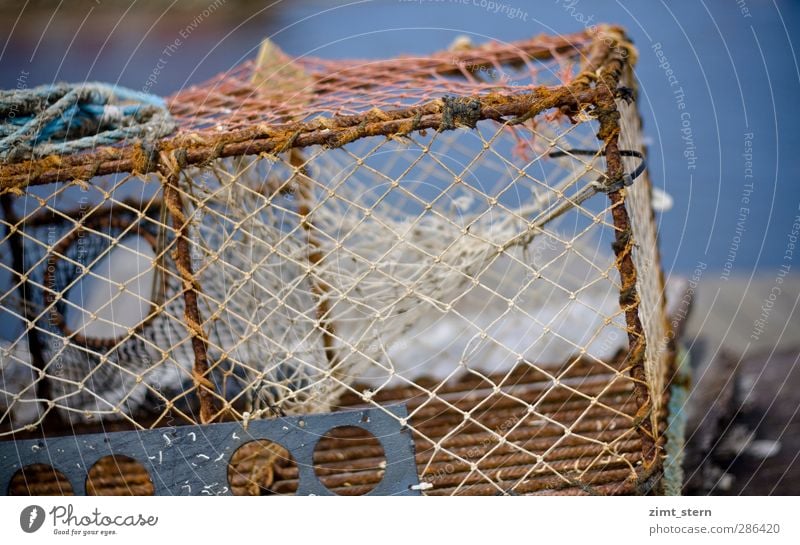 nets Fish Seafood Profession Fisherman Fishing (Angle) Net Tool Coast Fjord Göteborg Skerry Island Navigation Fishing boat Rope Wireframe Lie Blue Brown Rust