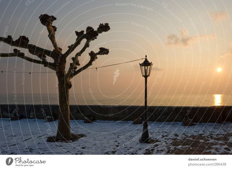 Lantern, lantern ... Landscape Sky Horizon Sunlight Winter Lake Yellow tranquillity silent Lake Constance Colour photo Copy Space right Evening Light Sunbeam