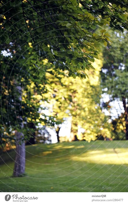 Green Weekend IV Environment Nature Landscape Esthetic Forest Enchanted forest Nature reserve Idyll Peaceful Loneliness Hissing Leaf canopy Colour photo