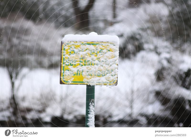 anything forbidden... Winter Snow Winter sports Parenting Schoolchild Ice Frost Snowfall Tree Park Lakeside Pond Playground Characters Digits and numbers