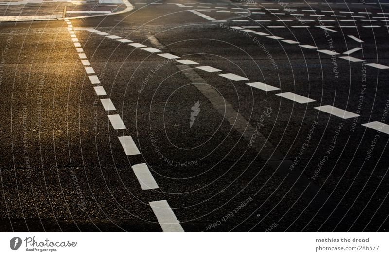 line management Town Deserted Transport Motoring Pedestrian Street Crossroads Traffic light Signs and labeling Sharp-edged Line Asphalt Muddled Colour photo