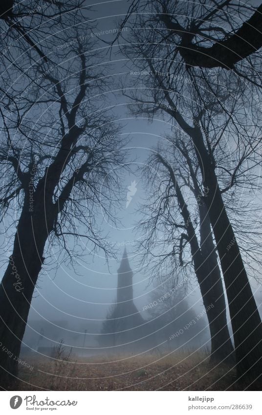 Sleepy Hollow Culture Autumn Fog Tree Church Tower Manmade structures Building Architecture Creepy Eerie Religion and faith Threat Silhouette Brandenburg