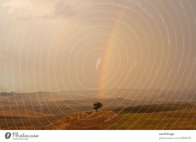 at the end of the rainbow Tourism Summer Environment Nature Landscape Elements Earth Air Drops of water Sky Clouds Sunlight Weather Rain Tree Field Hill