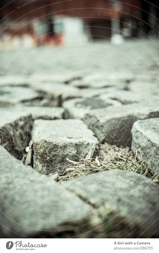 completely detached Traffic infrastructure Broken Paving stone Square Flexible Stone Under Subdued colour Exterior shot Copy Space middle Day