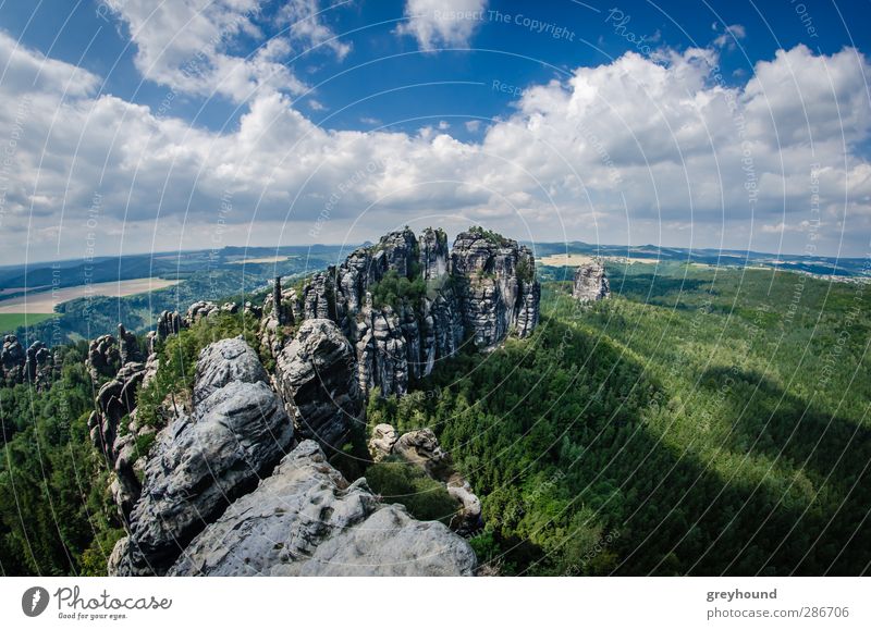 Schrammsteine in the Saxon Switzerland Climbing Mountaineering Nature Landscape Clouds Summer Beautiful weather Tree Rock Peak Deserted Tourist Attraction Blue