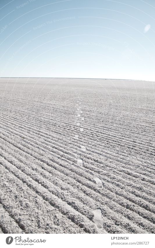 THE INVISIBLE MAN. XIII Vacation & Travel Tourism Summer vacation Beach Ocean Environment Nature Water Sky Cloudless sky Beautiful weather Florida USA Deserted