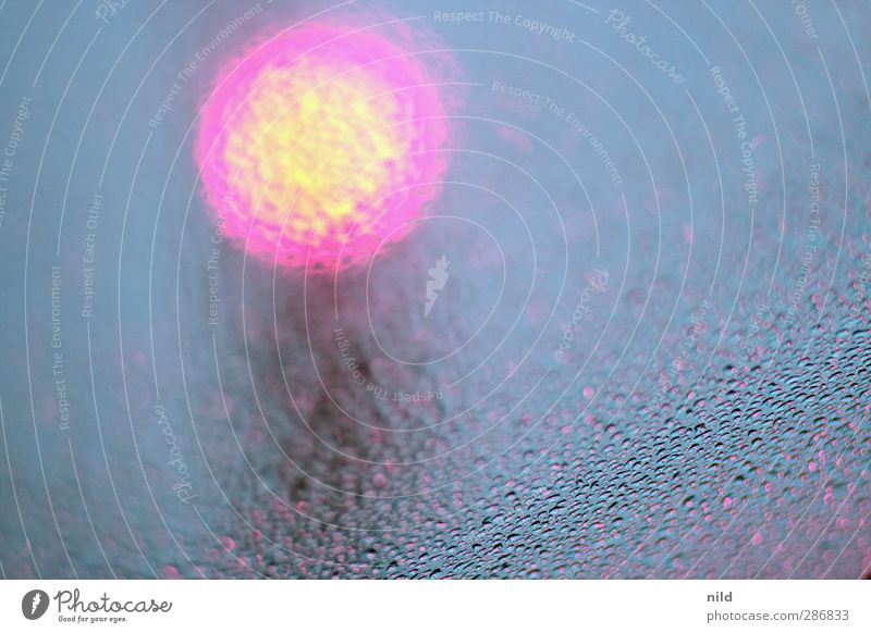 red light Weather Bad weather Rain Transport Motoring Traffic jam Traffic light Vacation & Travel Wait Blue Red Stagnating Windscreen Drops of water