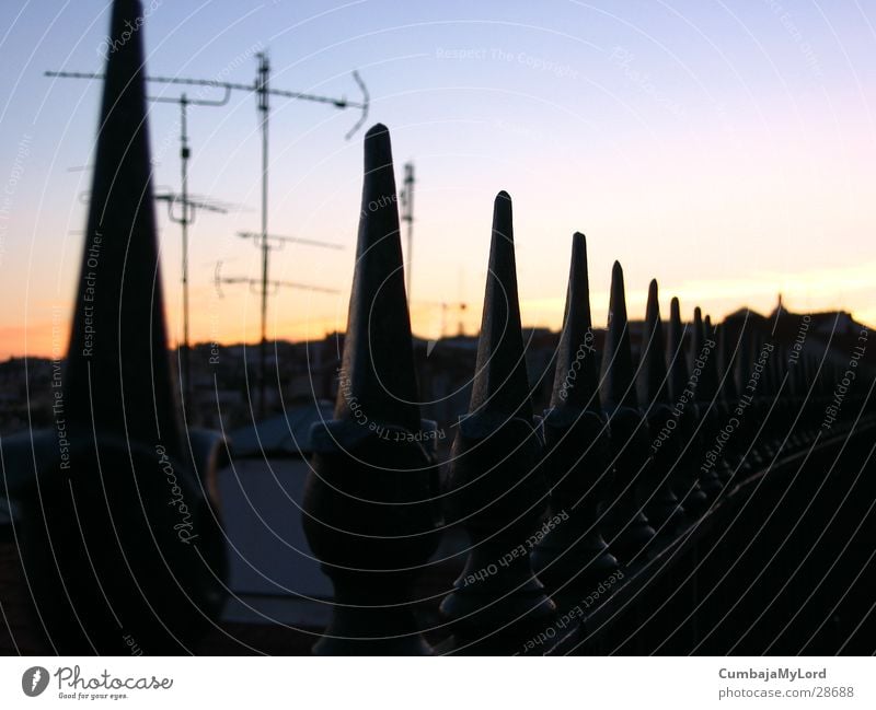 tips of fences Fence Antenna Roof Sunset Things Point Metal Macro (Extreme close-up)