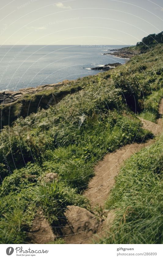 path to follow Environment Nature Landscape Plant Elements Earth Water Sky Horizon Summer Beautiful weather Grass Bushes Foliage plant Meadow Hill Waves Coast