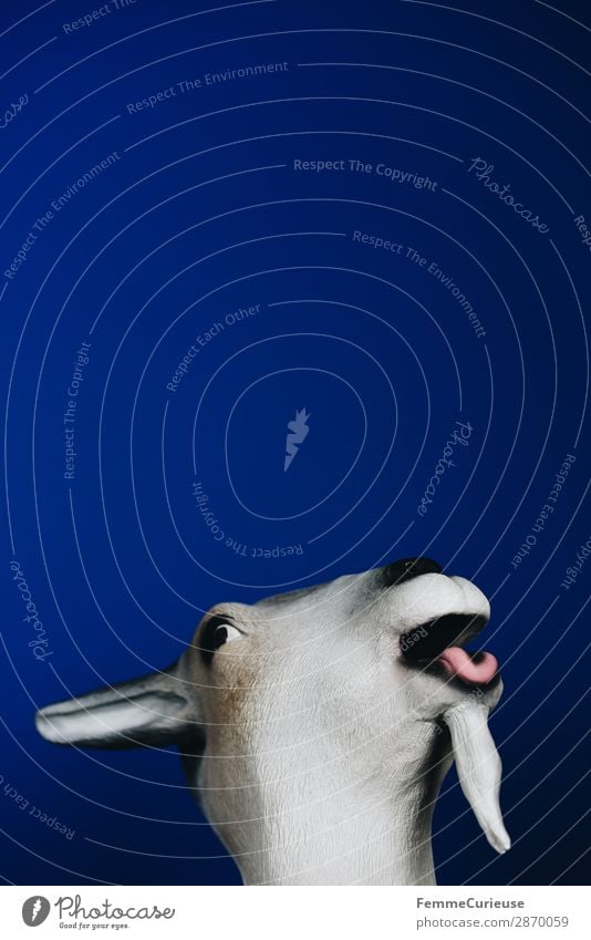 Scapegoat - person masked as goat Animal Argument scapegoat Guilty Accuse Mask Carnival Anonymous Dress up Blue Tongue Colour photo Studio shot Copy Space left