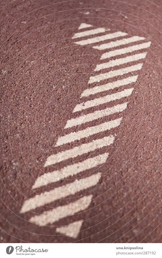 1 Sign Digits and numbers Red White Beginning Sporting grounds Colour photo Subdued colour Detail Pattern Structures and shapes Deserted Shallow depth of field