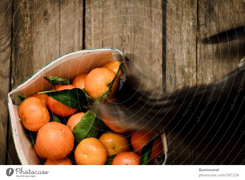 nosewhite Food Fruit Nutrition Animal Pet Cat 1 Baby animal Curiosity Tangerine Box of fruit Kitten Odor Wooden table Colour photo Interior shot Motion blur