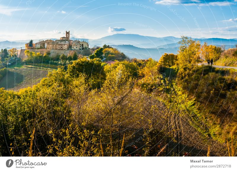 Village of Montefabbri in Italy Blue boundary walls Castle Church Landscape Europe field Green Ground Hill Historic House (Residential Structure) Marche