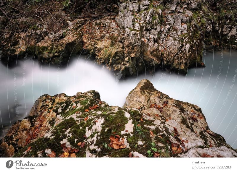 HAPPY BIRTHDAY PHOTOCASE Nature Landscape Water Moss Rock Canyon River bank Brown White Flow narrow Colour photo Exterior shot Deserted Day Long exposure