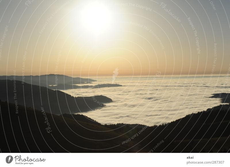 Happy birthday,photocase! Environment Nature Landscape Sky Clouds Sun Sunrise Sunset Fog Forest Mountain Blue Pink Black White Colour photo Exterior shot