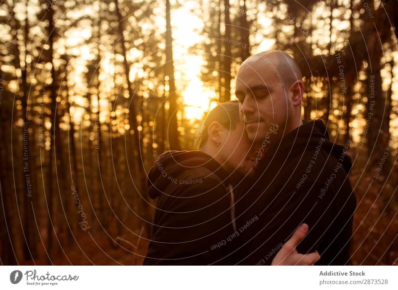 Men hugging in forest at sunset Homosexual Couple Forest Embrace Sunset Landscape Love embracing Closed eyes Nature Evening Man romantic Together Lifestyle