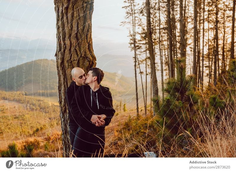 Smiling men hugging near tree in forest on hill Homosexual Couple Embrace Tree Hill Forest Love embracing Valley Picturesque Vantage point romantic Mountain