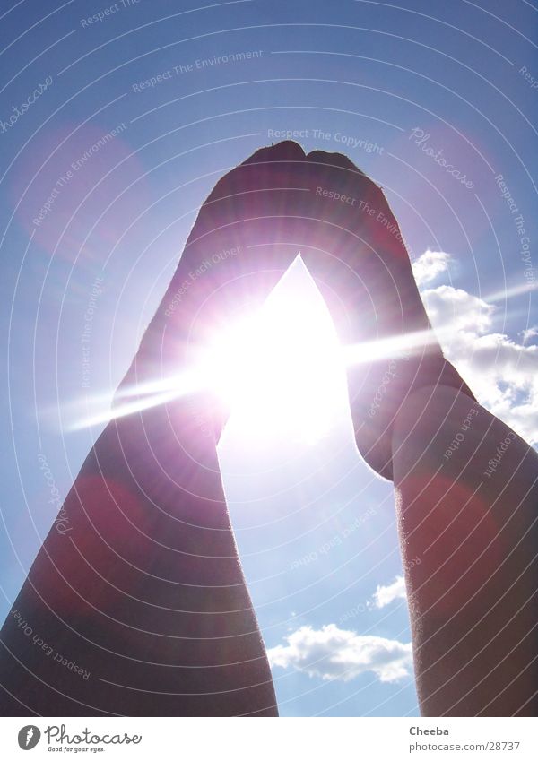 Bright sunshiny feet Stockings Clouds Calf Summer Human being Feet Sun Legs Sky