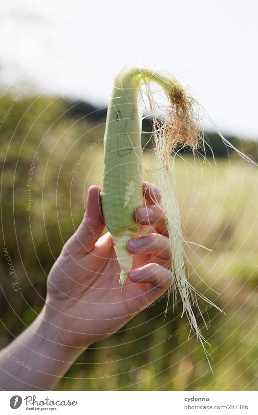 HAPPY BIRTHDAY PHOTOCASE! Vegetable Nutrition Organic produce Vegetarian diet Design Happy Healthy Well-being Contentment Human being Hand Environment Nature