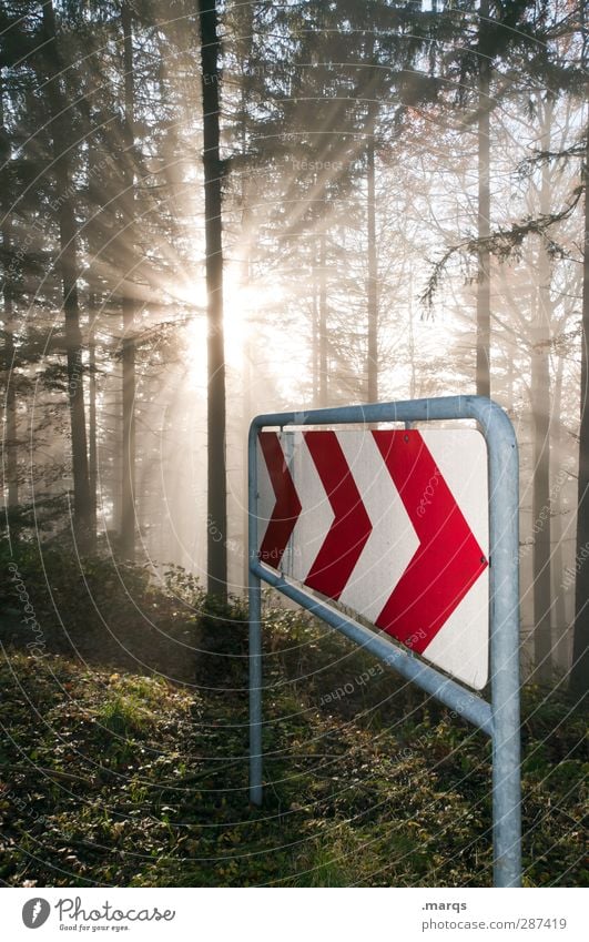 restart Environment Nature Sun Climate Climate change Fog Tree Forest Road sign Sign Arrow Illuminate Beautiful Beginning Transience Future Direction Sunbeam