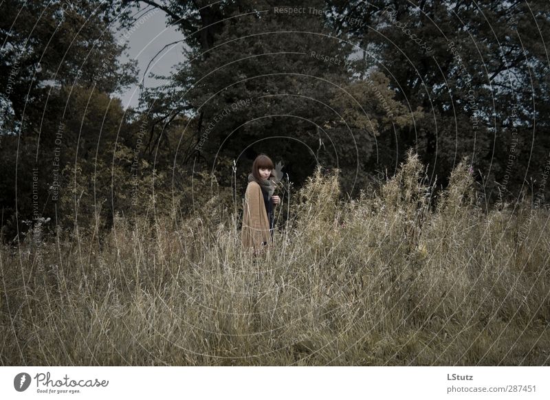 grey autumn days Trip Feminine Young woman Youth (Young adults) Woman Adults 1 Human being 18 - 30 years Nature Autumn Tree Grass Bushes Meadow Field Bog Marsh