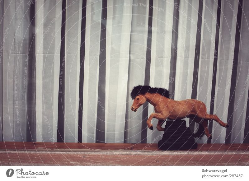 Spirit on a budget Animal Horse 1 Speed Shop window Closed Window pane Gloomy Sadness Kitsch Empty Figure Replication Decoration Plastic figurine pseudo freedom