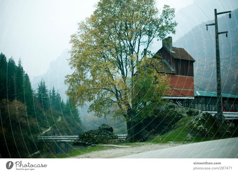 village City trip Mountain Hiking Environment Nature Landscape Autumn Bad weather Tree Rock Alps Canyon River bank Bay Fjord House (Residential Structure) Hut