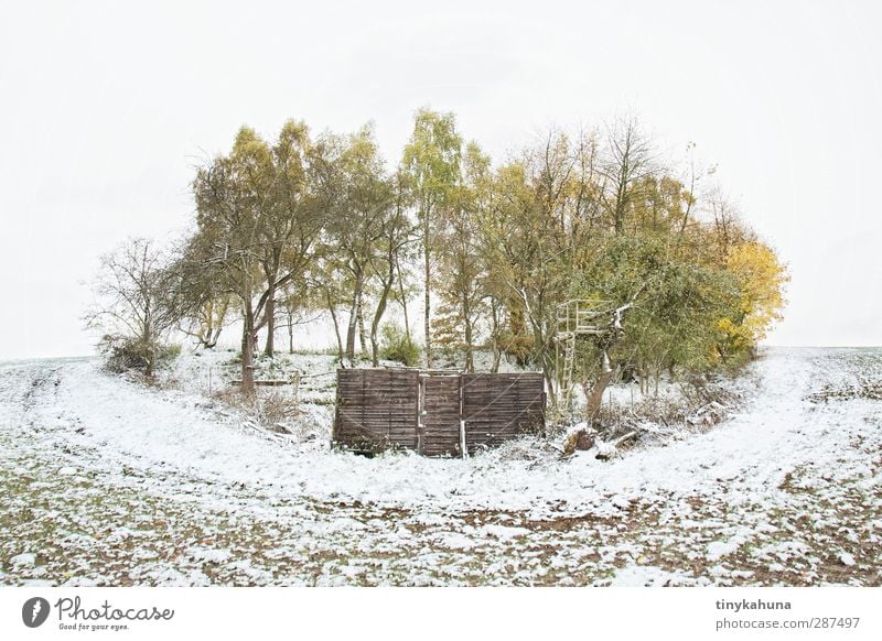 private ground Landscape Earth Winter Snow Tree Field Garden Gate Cold Small Round Gloomy Green White Boredom Esthetic Loneliness Calm Subdued colour