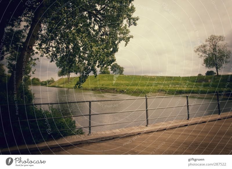 all things pass Landscape Bad weather Tree Meadow River bank Simple Bridge Footbridge Bridge railing Handrail Brook Body of water Dreary Rain Clouds Cloud cover